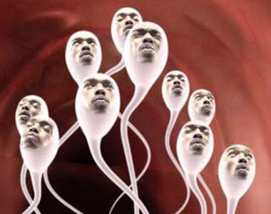 什麼!?精子的運動軌跡竟然不能向左轉...是...是頭扭到嘛?