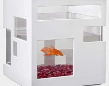 《HOTEL魚缸》小魚也有享受的權利啦～