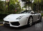 小牛進補Toro?DMC改造Lamborghini Gallardo! 小牛進補Toro?DMC改造Lamborghini Gallardo!
