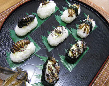 昆蟲料理研究會　一口酥脆咬下去~大喊〝天然的尚好啊〞