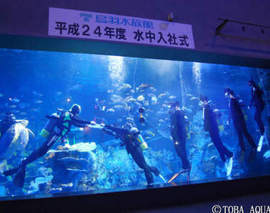 《潛水入社式》日本的社會新鮮人還真多考驗(揮汗)