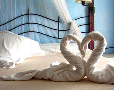 《創意毛巾DIY》快來看看飯店裡的毛巾發生了什麼事情吧～