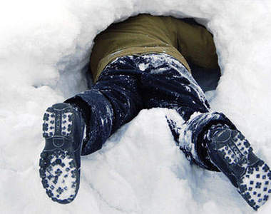 世上真有冬眠男？車內存活兩個月的不死傳奇