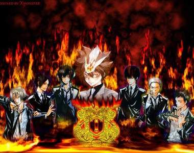 《家庭教師Reborn》閃電完結？！