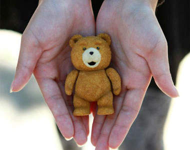 熊麻吉Teddy 1/6 吋模型可愛預購中