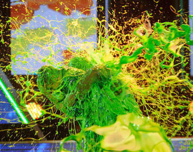 兒童票選獎2012 綠色黏液真是太棒了(大心)