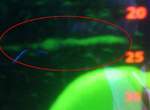 《尼斯湖水怪》再現蹤跡?尼斯湖觀光船探到不明生物 《尼斯湖水怪》再現蹤跡?尼斯湖觀光船探到不明生物