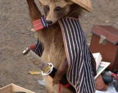 歡喜蛋蛋狸 我〝那裡〞一張開還可以當滑翔翼