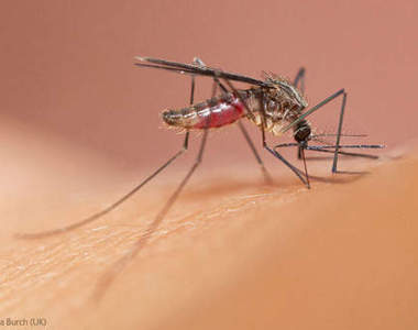 2012世界之美攝影比賽優勝出爐 連兒童組都超強…