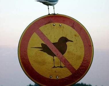 「規則無用」唔？那是什麼？能吃嗎？(挖鼻)