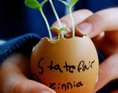 《雞蛋盆栽》快在雞蛋殼裡播種吧^▽^