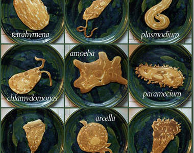 《理科鬆餅》果然是數學老師才有的創意!