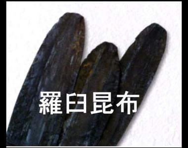 抓昆布app《コンブガチャ》......啊這是要幹嘛啦！？