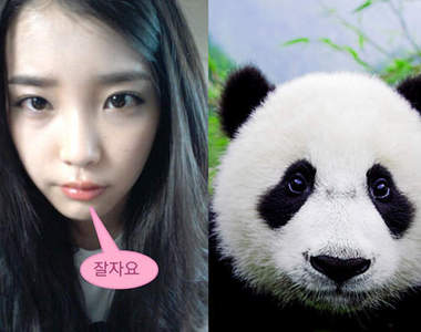 熊貓眼韓星，晚上都在做什麼呢...？