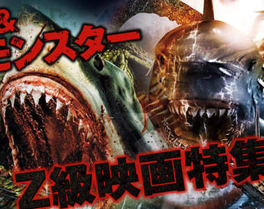 日本Nico生放送 連續13天播映的Z級片馬拉松 BEST 13