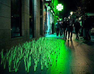 《亮雜草》難道是草在發光嗎？!