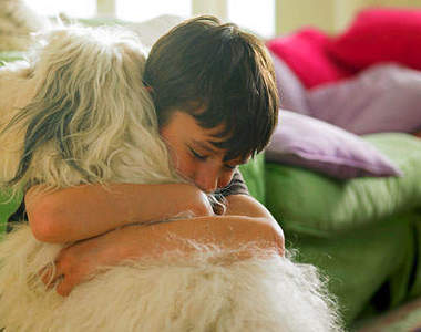 《Soft & Cuddly》 軟綿綿又很好抱的恐怖遊戲......(？)