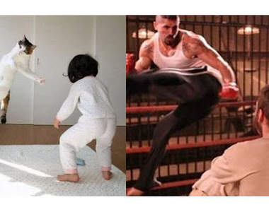 貓的電影模仿秀～猜猜貓咪模仿的是那部電影！？