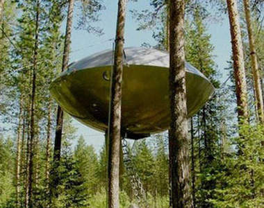 《UFO》出沒請注意~它就卡在瑞典樹林中