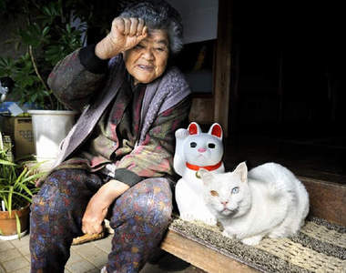 伊原美代子《老奶奶與小白貓》這是一段人與貓咪間靜謐美好的故事♥