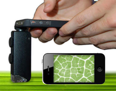 哀鳳顯微鏡 肚臍上的卡垢黑斑！將無所遁形