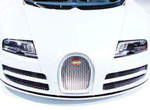 《Bugatti Veyron Rafale特別版》獨一無二山豬現身巴西~ 《Bugatti Veyron Rafale特別版》獨一無二山豬現身巴西~