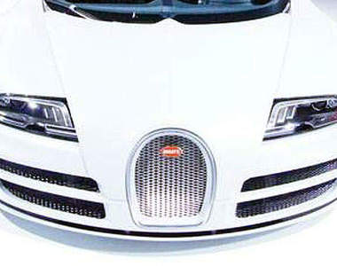 《Bugatti Veyron Rafale特別版》獨一無二山豬現身巴西～