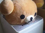 玩偶們~洗~澡~囉~!♥ 玩偶們~洗~澡~囉~!♥