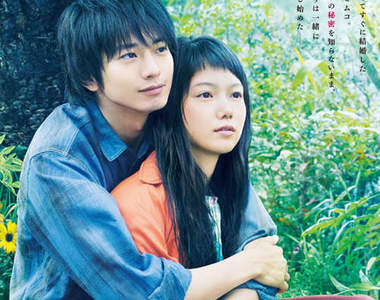 《向井理×宮崎葵》初合演《黃色大象》明年上映