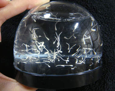 《精子水晶球》～再現健康游泳的精子...