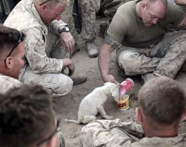 《照片會說話》充滿故事性～令人看的無法言喻