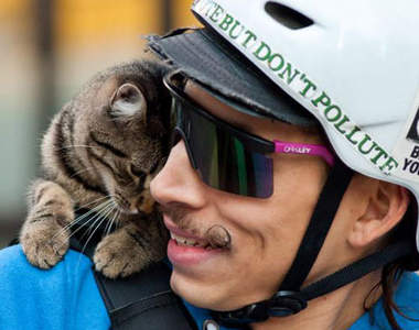 超大膽《搭肩貓MJ》跟主人一起單車快遞