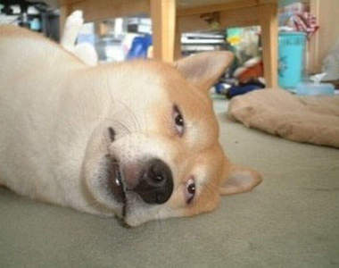 《好麻煩的16件事》唉～想到就好麻煩（嘆氣）