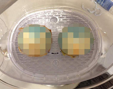 全家 x 初音 不久之後將推出《初音肉包》？！