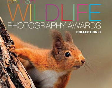 2012年度《英國野生動物攝影大賽》最新得獎精彩作品集賞欣~