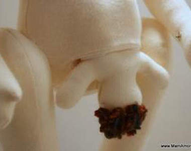 《性教育娃娃》♥為你解開 BABY 從哪來的問題唷～