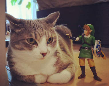《薩爾喵傳說》林克與貓咪的冒險最新作?(誤)