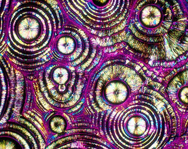 放大1000倍 看看你都喝了些甚麼東西呢?