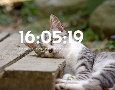 貓系列《開始認真時計》再等一下我就會認真了喵～