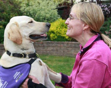 超聰明《服務犬》就只差不會說話