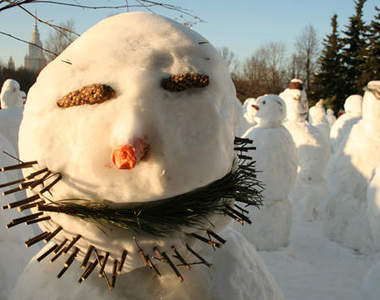 這次是真的嗎?俄羅斯抓到活的雪人!