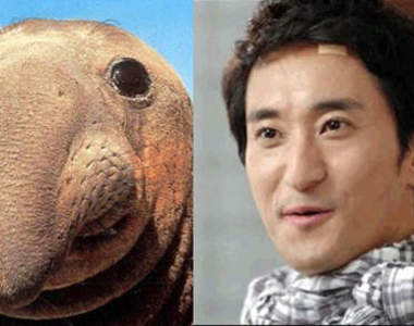 以韓英對照教學之名 行婊人之實？！