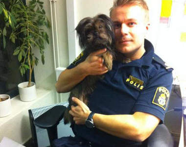 瑞典帥警察 你想認養他...手上的狗嗎？