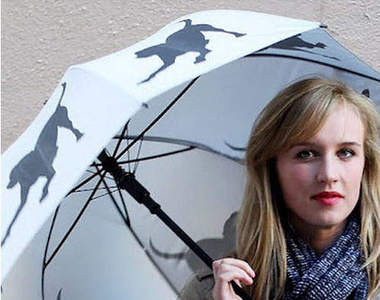 你家毛寶貝專屬的寵物雨傘~~