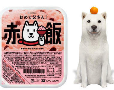 《白戶家狗爸爸紅豆飯》吃了會有好事發生吧!?