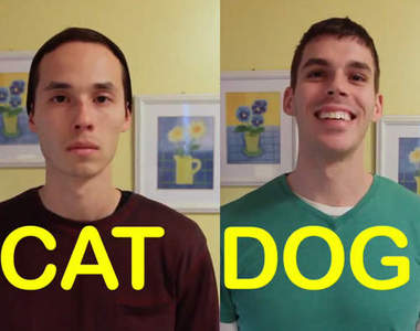 《貓狗朋友》身邊的朋友是貓朋友還是狗朋友呢？