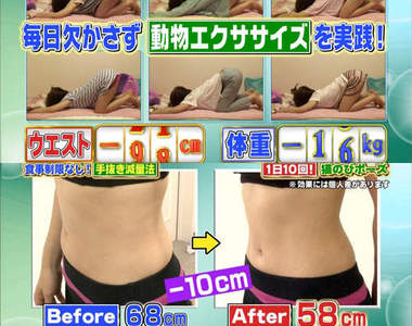 《貓咪減肥法》懶惰的女生也絕對適用喔～