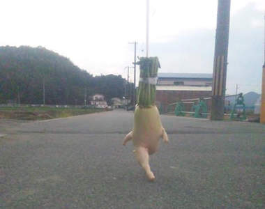 《大根逃走中》還真的是長腳跑掉了呢wwwww