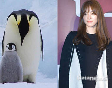 欸～這裡不是動物園吧？李妍熙的企鵝裝