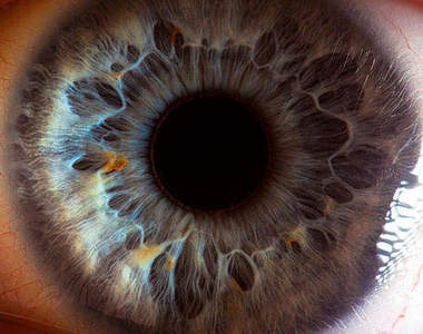 《大眼攝影》再靠近一點點就能看穿心裡